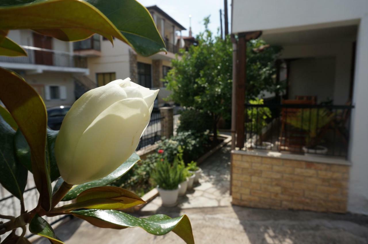 Magnolia Leilighet Ájos Nikólaos Eksteriør bilde